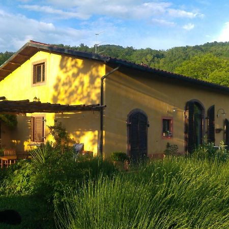 Podere Di Maggio - Casa Della Nonna Santa Fiora Bagian luar foto