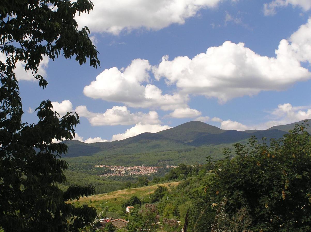 Podere Di Maggio - Casa Della Nonna Santa Fiora Bagian luar foto