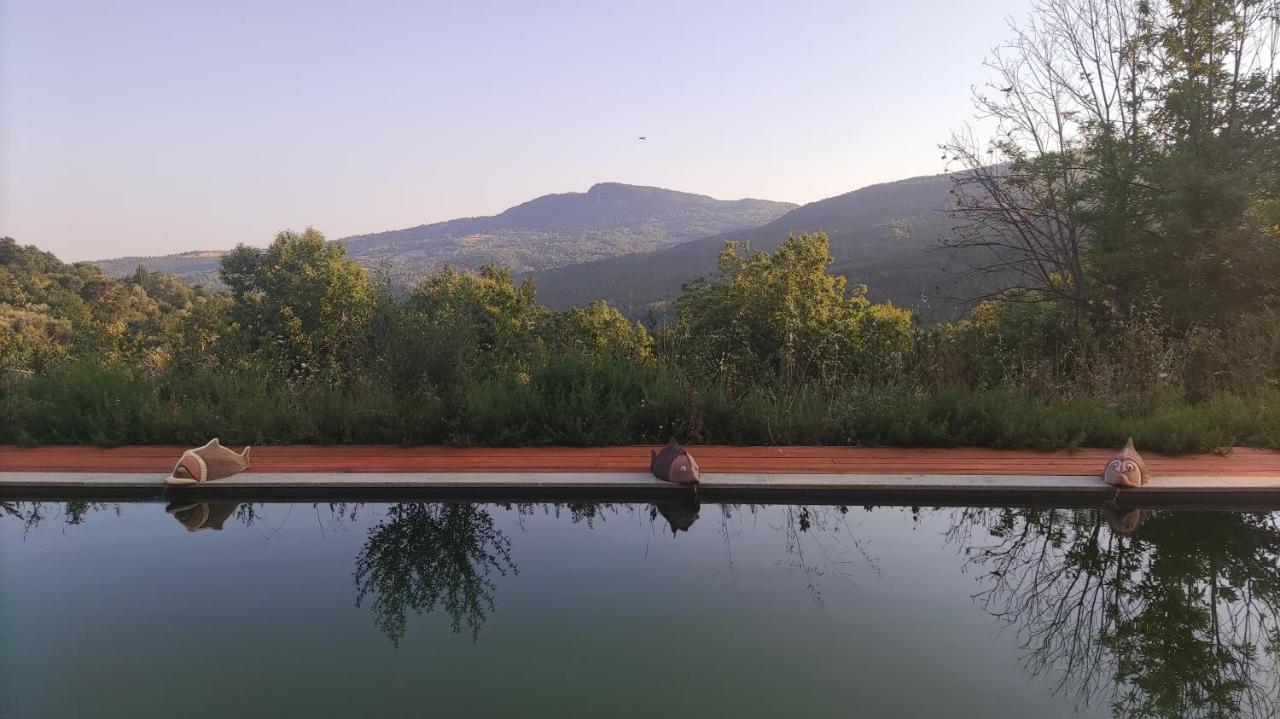 Podere Di Maggio - Casa Della Nonna Santa Fiora Bagian luar foto
