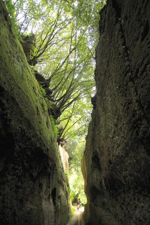 Podere Di Maggio - Casa Della Nonna Santa Fiora Bagian luar foto