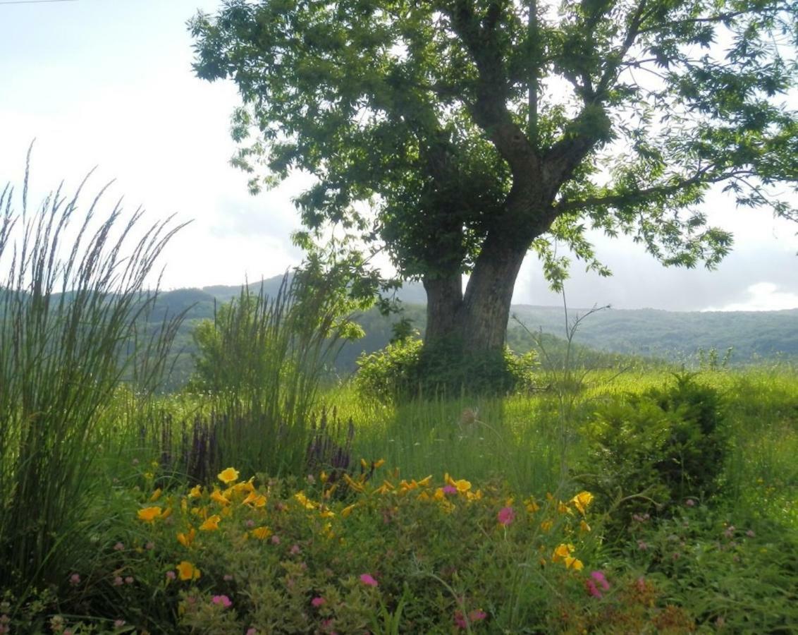 Podere Di Maggio - Casa Della Nonna Santa Fiora Bagian luar foto